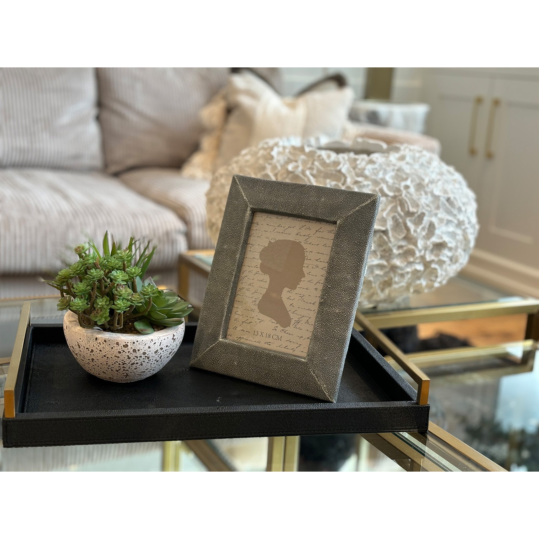 Desert plants in Small Clay Pot